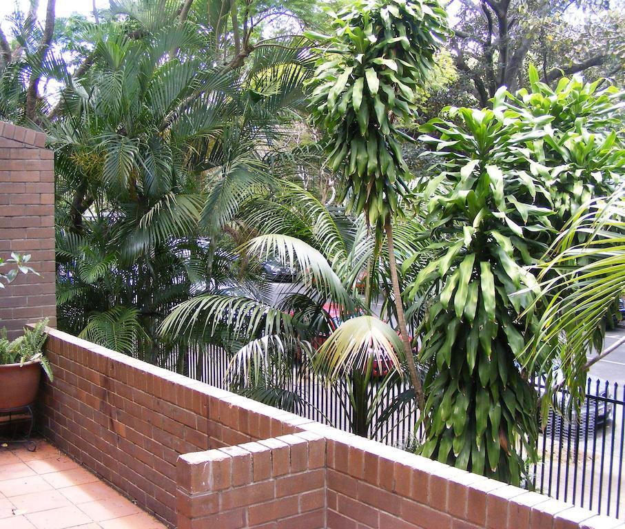 The Gardens Apartments 布里斯班 外观 照片